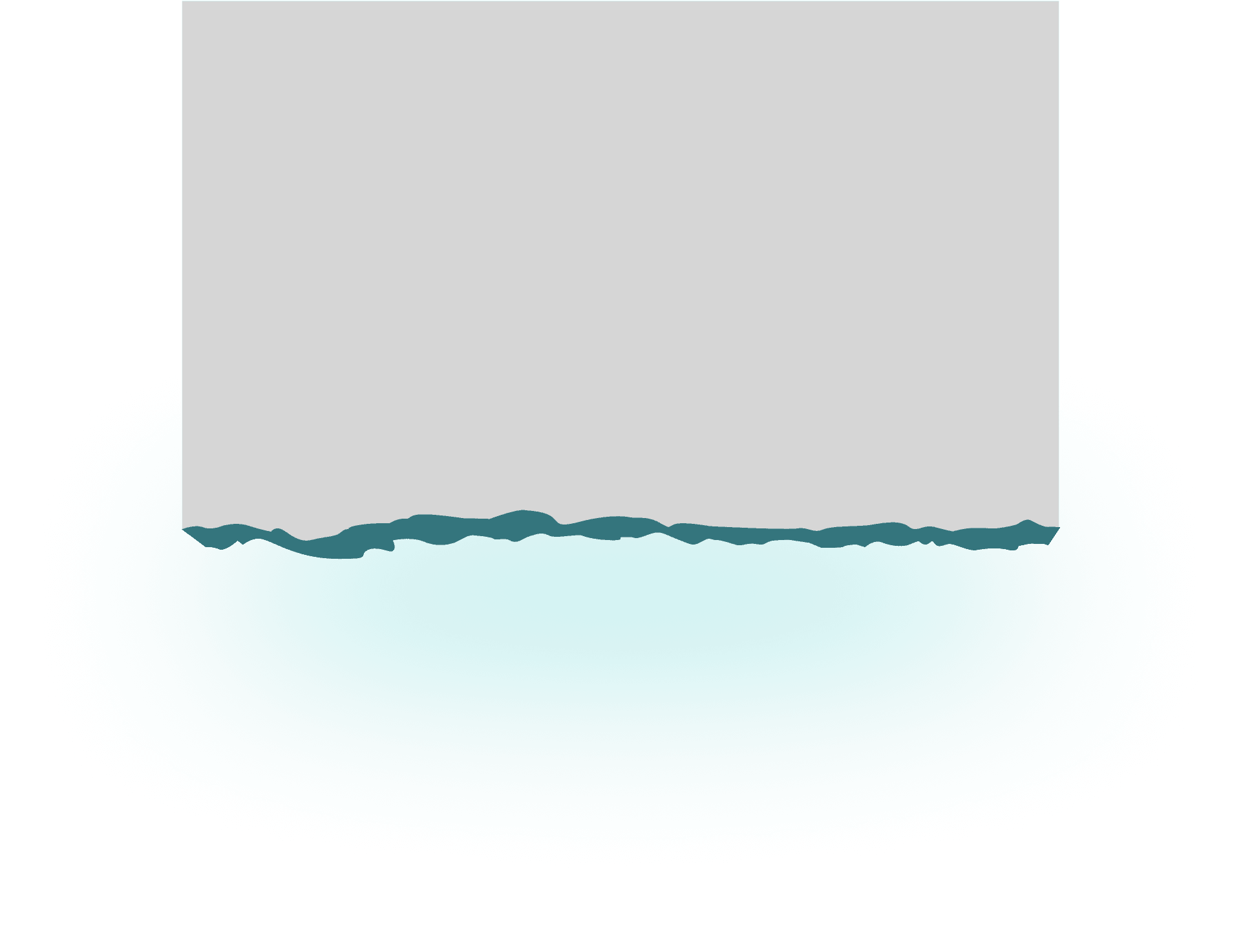 what is indocor?